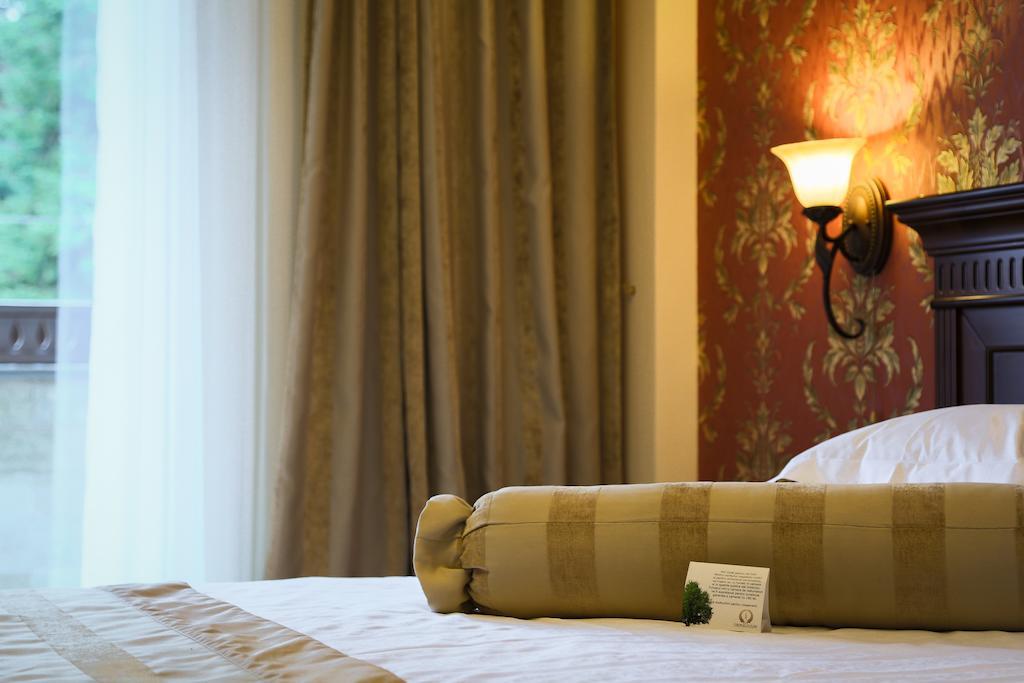 Hotel Foisorul Cu Flori ซินายา ห้อง รูปภาพ